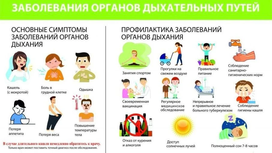 Ключевые принципы защиты лёгких у детей и подростков можно свести к трём направлениям: ...