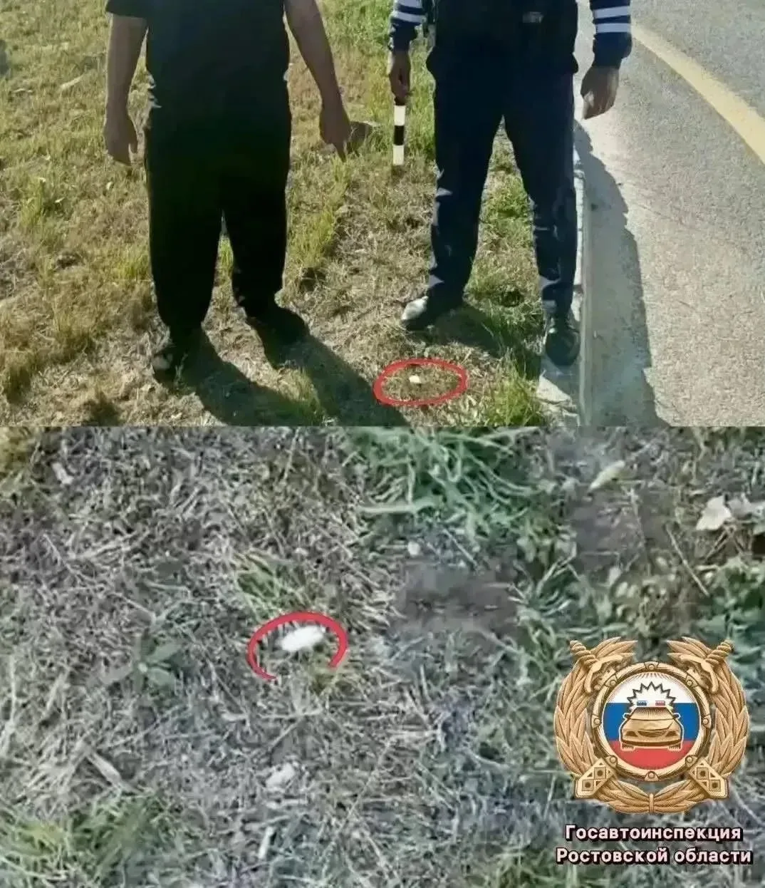 🚔 На трассе М-4 «Дон» пассажир выбросил наркотики при проверке ДПС