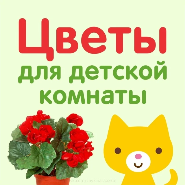 🌸 Полезные цветы для детской комнаты: создаём безопасную и уютную атмосферу 🌼