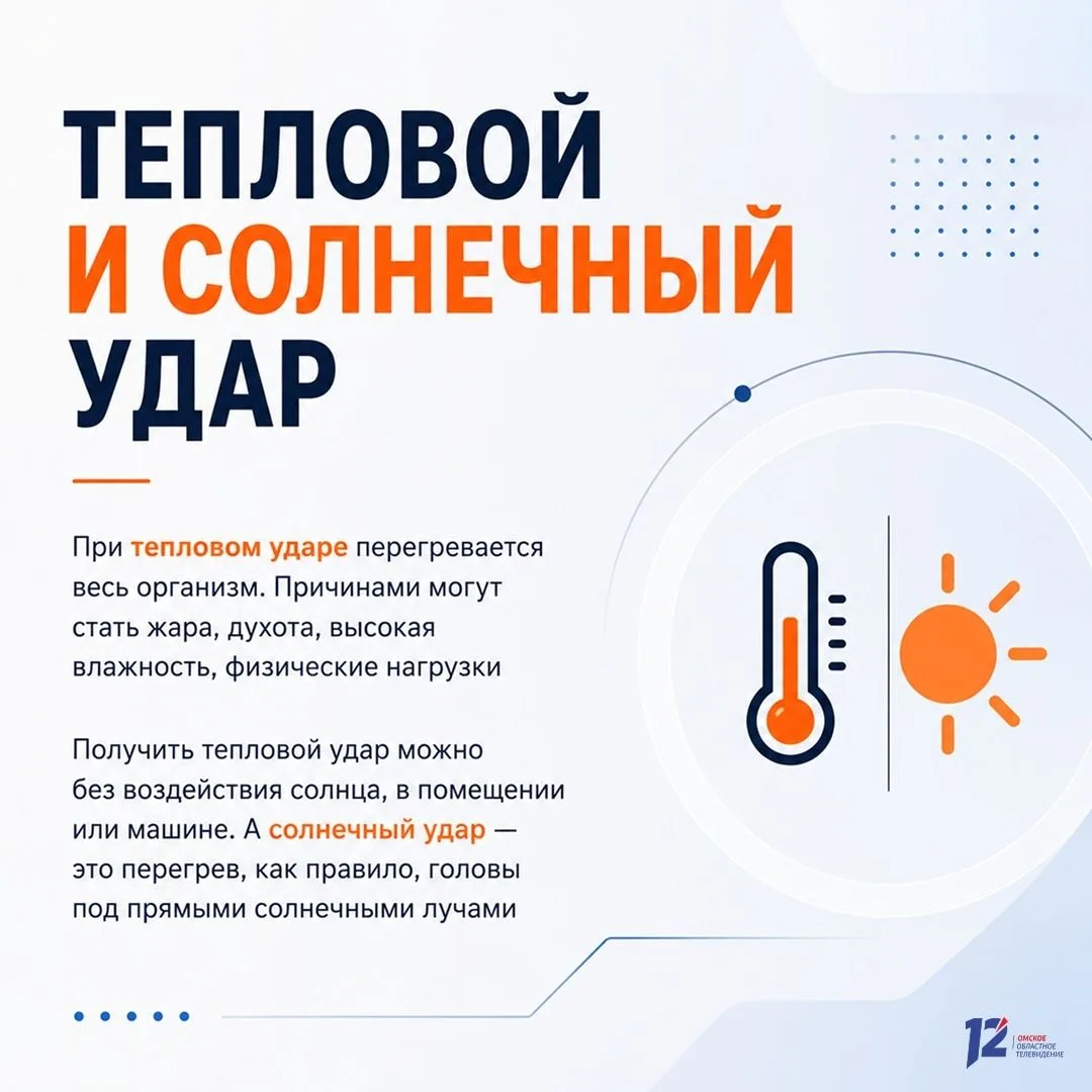 🌞 Тепловой и солнечный удар: как распознать и чем помочь
Советы врачей Надежды Поповой, Ульяны Махо