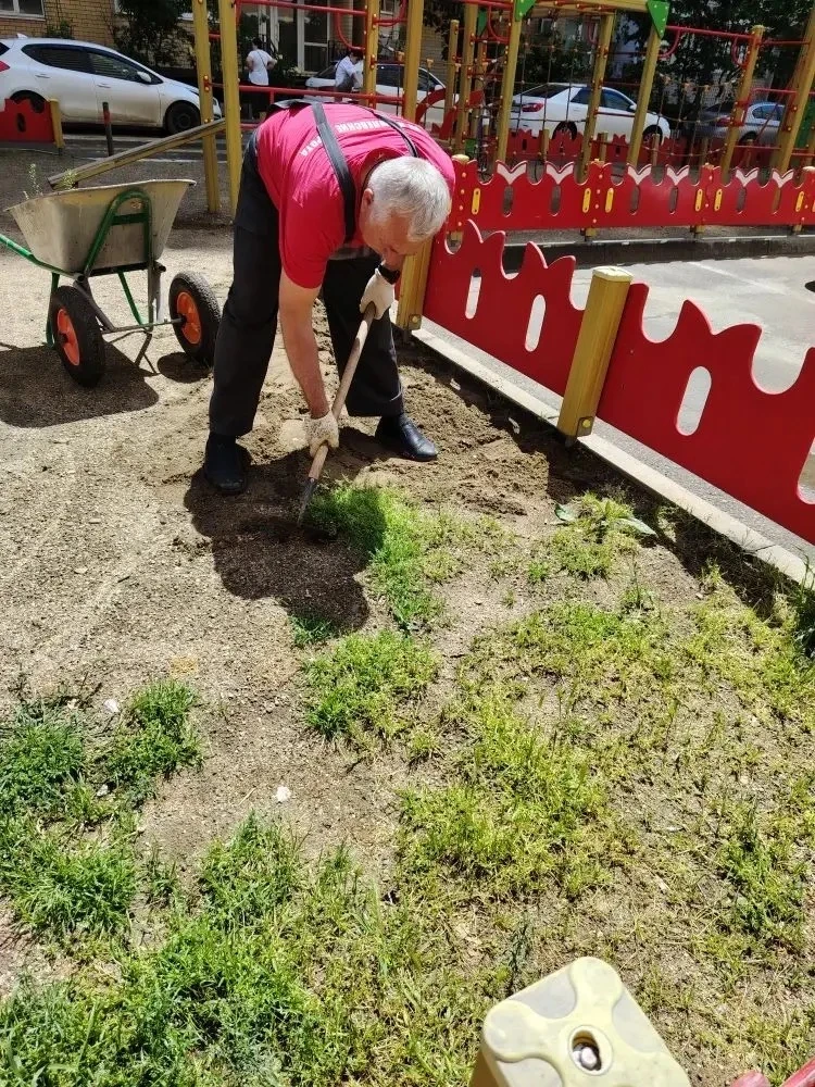 Отчет о проделанной работе в