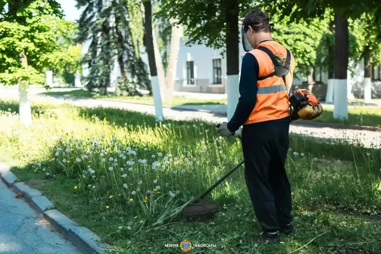 В Чебоксарах сейчас продолжается плановый покос травы  Свежескошенные газоны — это не просто эстетик
