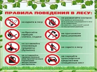 Наше село находится в лесной зоне. Дети часто ходят в лес .Поэтому проведены беседы со ...
