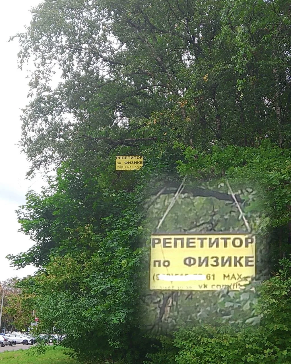 Накануне нового учебного года обнинские репетиторы достигли небывалых высот в рекламе с...