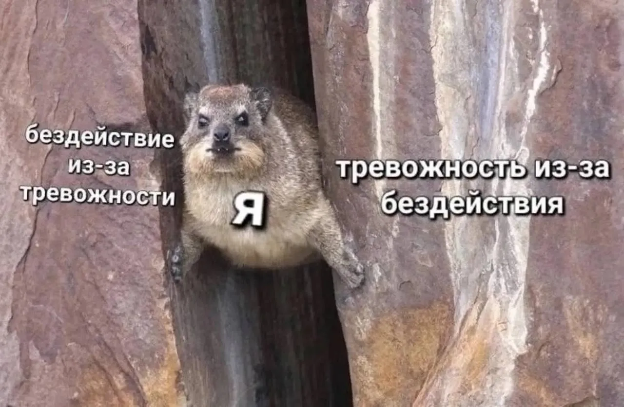 Тревожные люди оказались умнее всех, — психологи