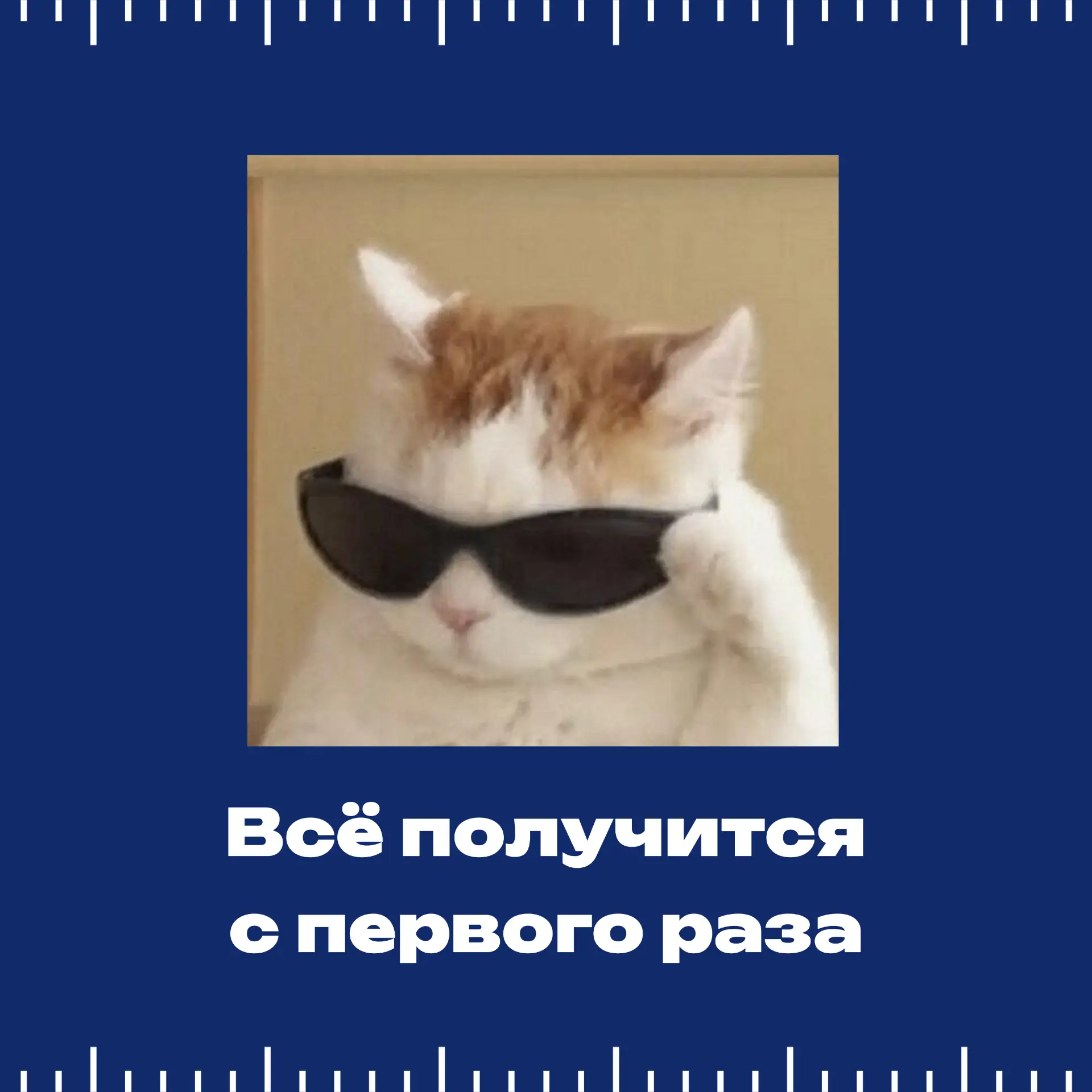 Сессия в разгаре! А какой ты котик на экзаменах? 🐱📚  Четверть студентов СтГАУ уже завершили свои зач