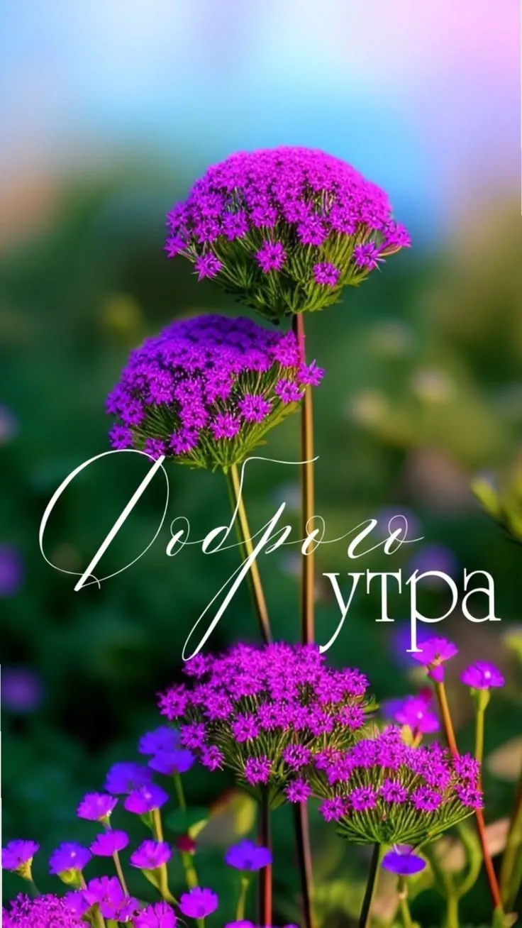 ❤ Рассказы | Подписаться 💚