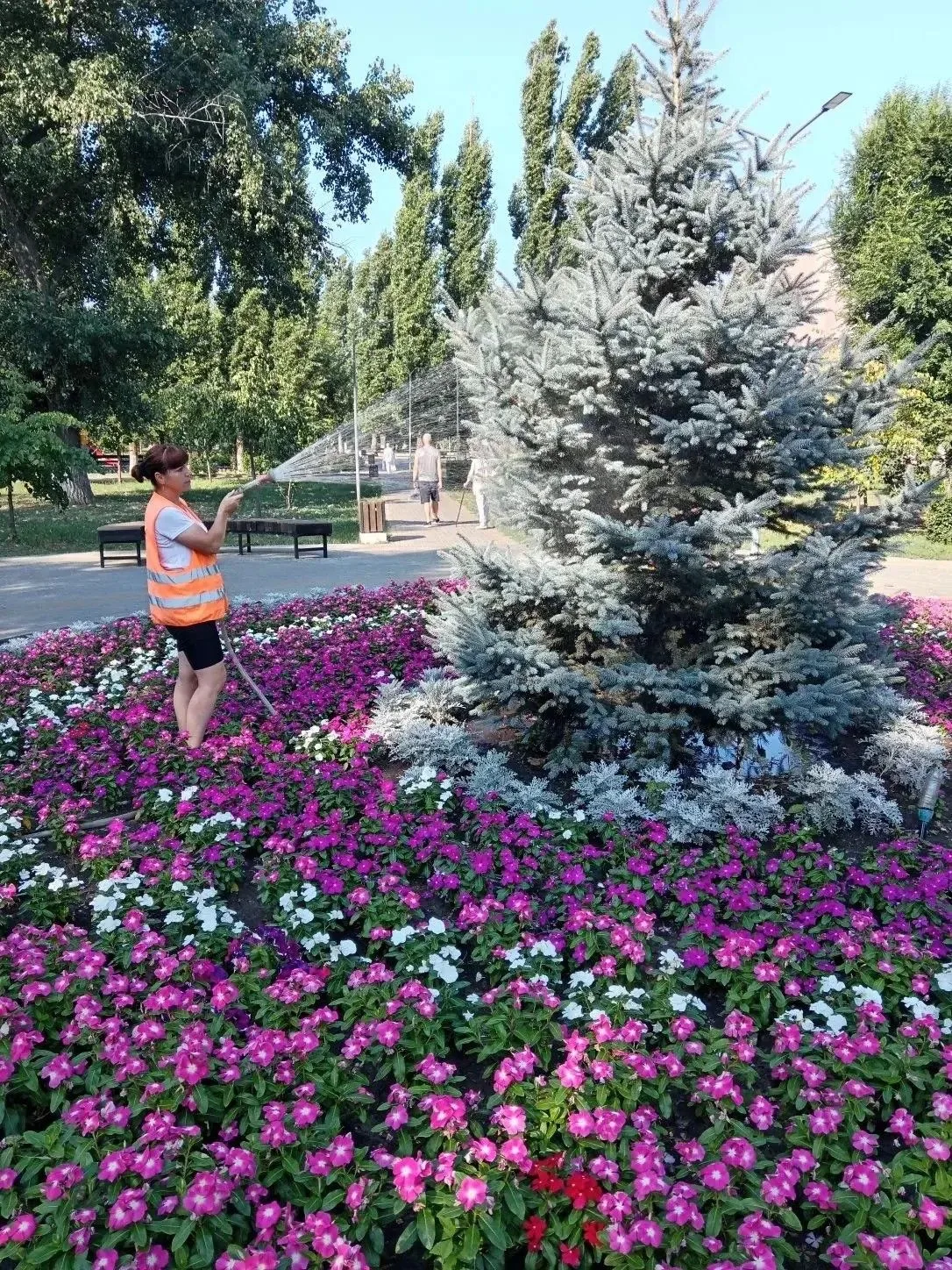 Благоустройство города ведется в ежедневном режиме

Сотрудники «Комбината благоустройства» с раннего