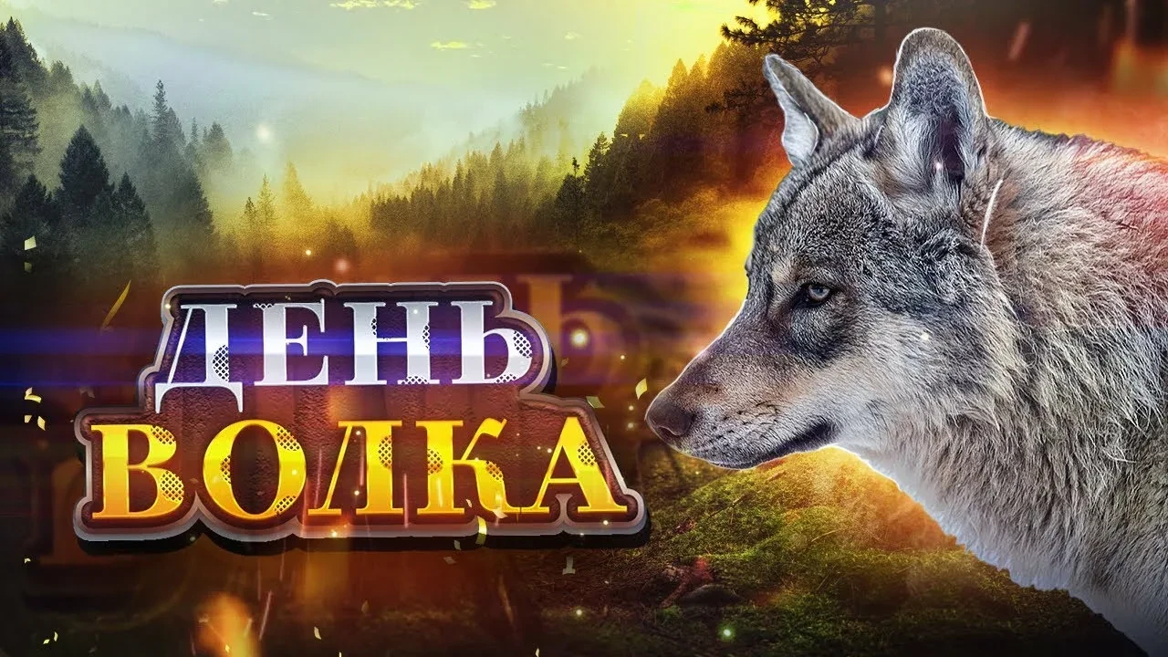 🎉 13 августа — Международный День волка! 🎉