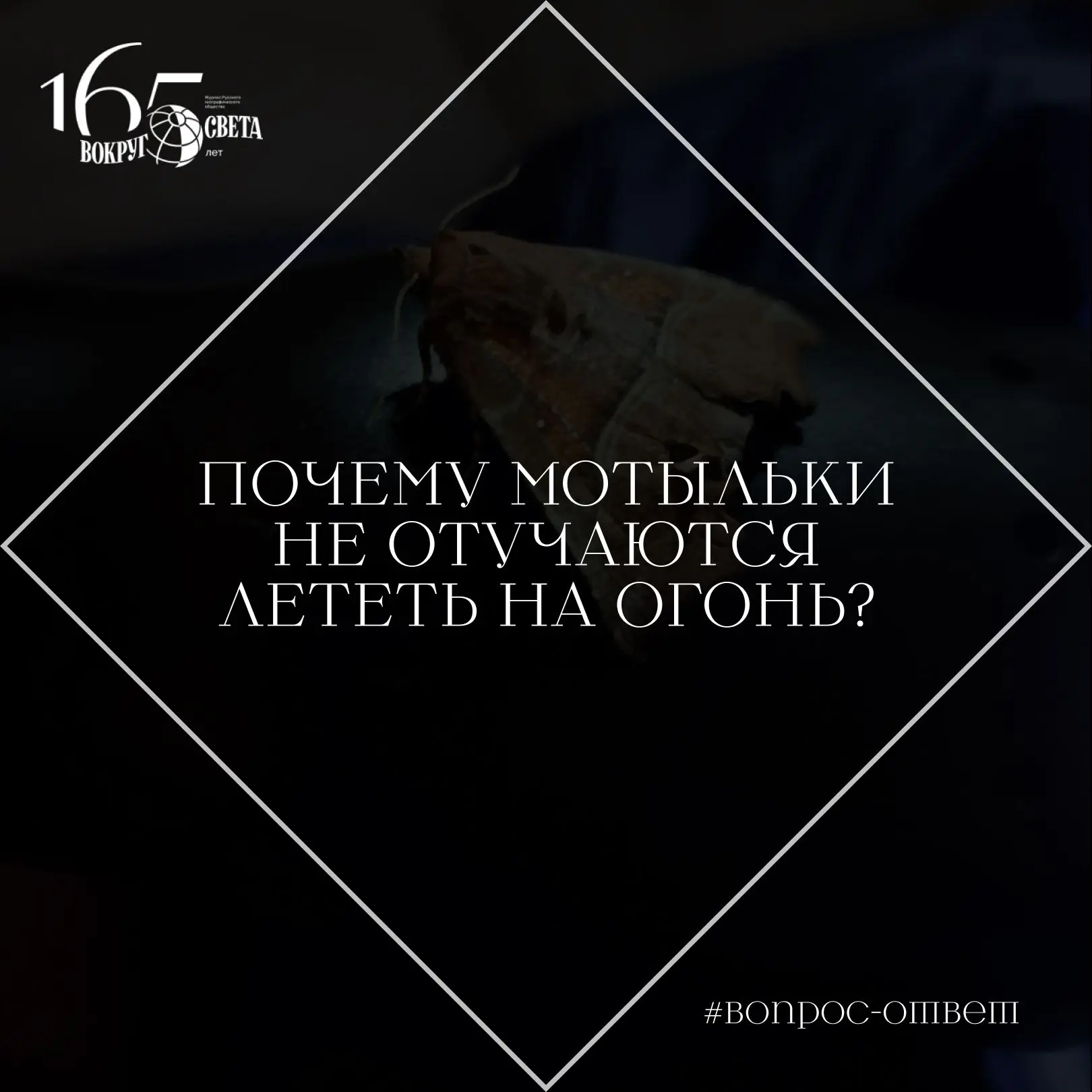 ❓ Почему мотыльки не отучаются лететь на огонь?

Интенсивность естественного отбора в этом случае сл