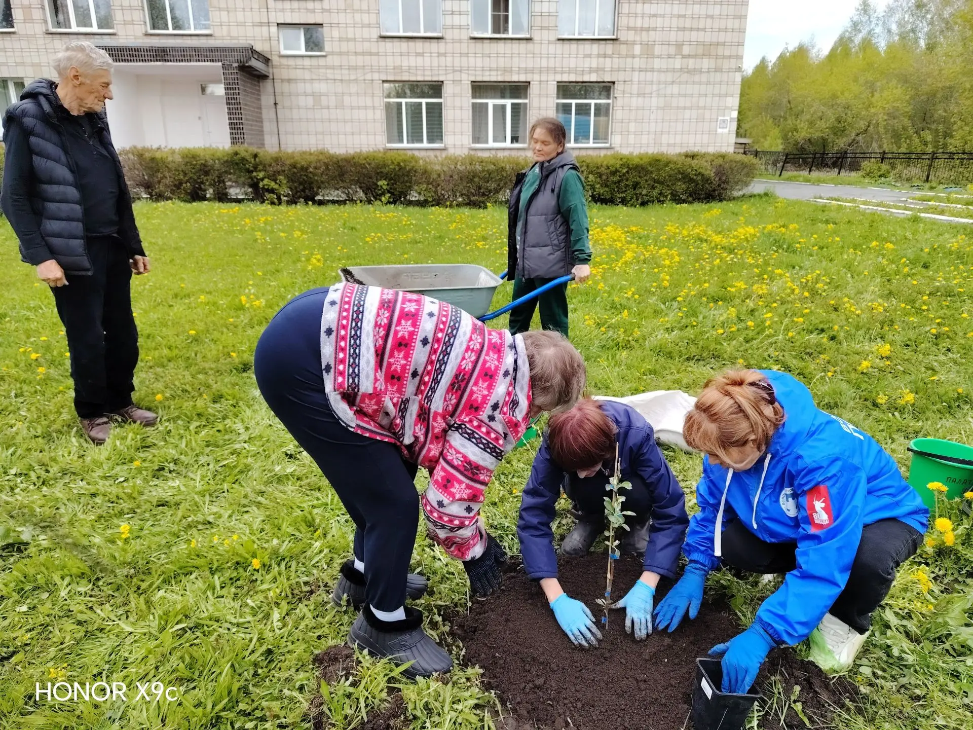 🌳Сад памяти 🌳Сегодня работники, волонтёры Добро.Центра "Молоды душой" и жители нашего дома объедин
