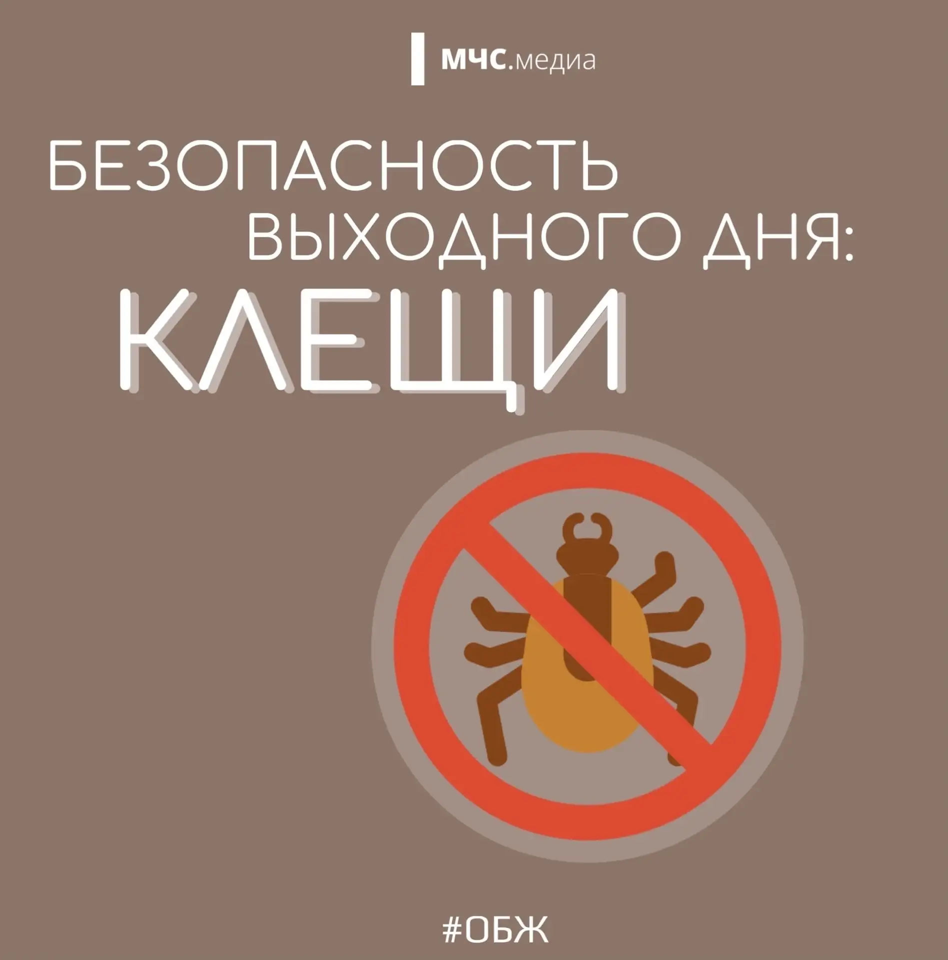 🕷 Вакцинация против клещевого вирусного энцефалита — самая эффективная мера защиты. Прививка формир