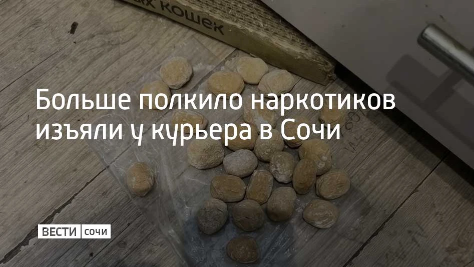 В Сочи у наркокурьера изъяли 570 гр мефедрона и 70 гр кокаина, сообщили в полиции курор...