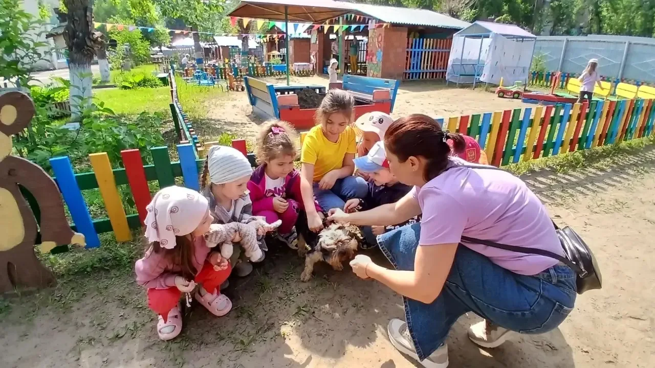 🐾 День собак в детском саду: хвосты, лапы и море улыбок! 🐶
2 июля наш детский сад превратился в на