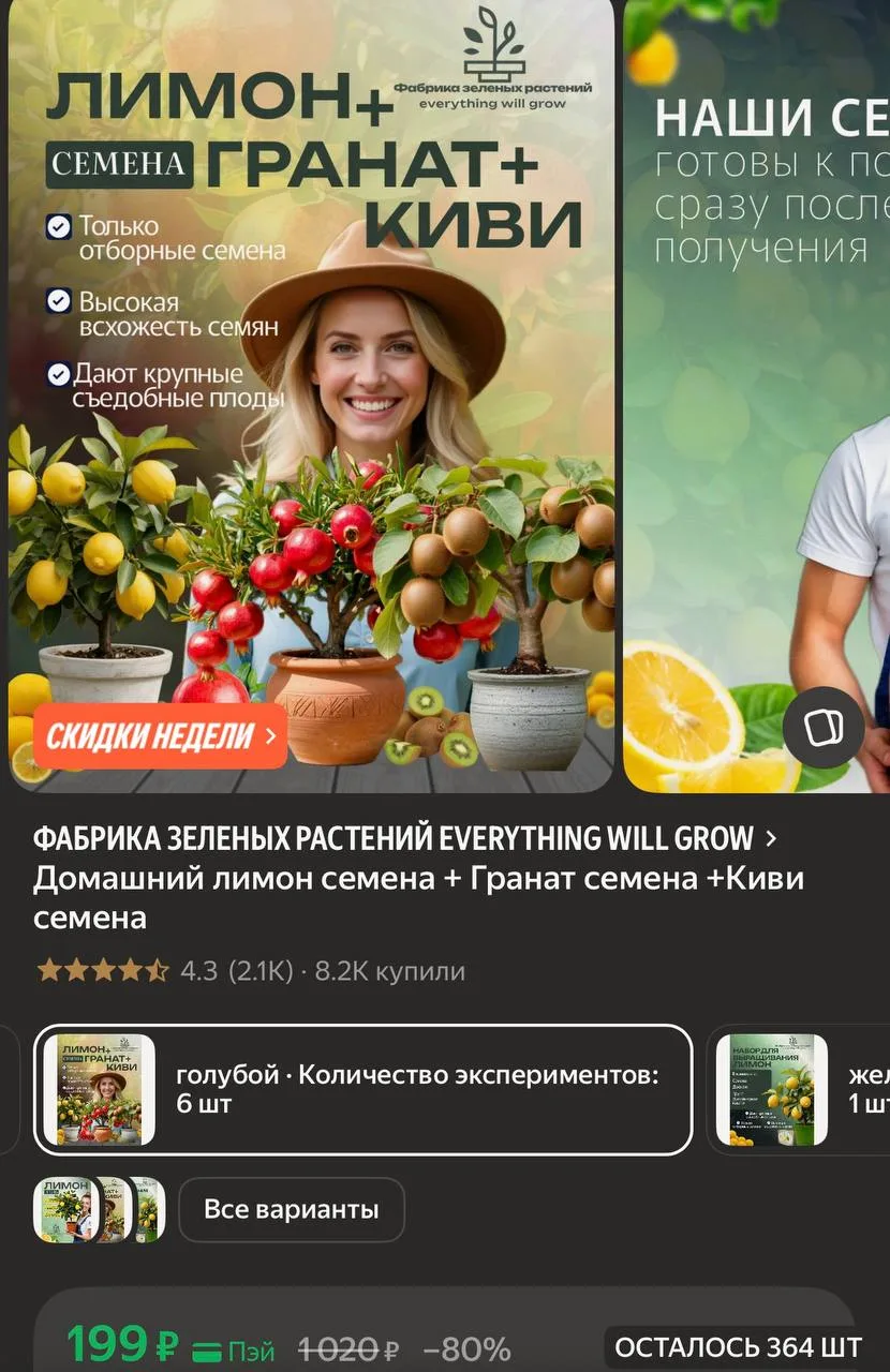 Домашний лимон семена + Гранат семена +Киви семена