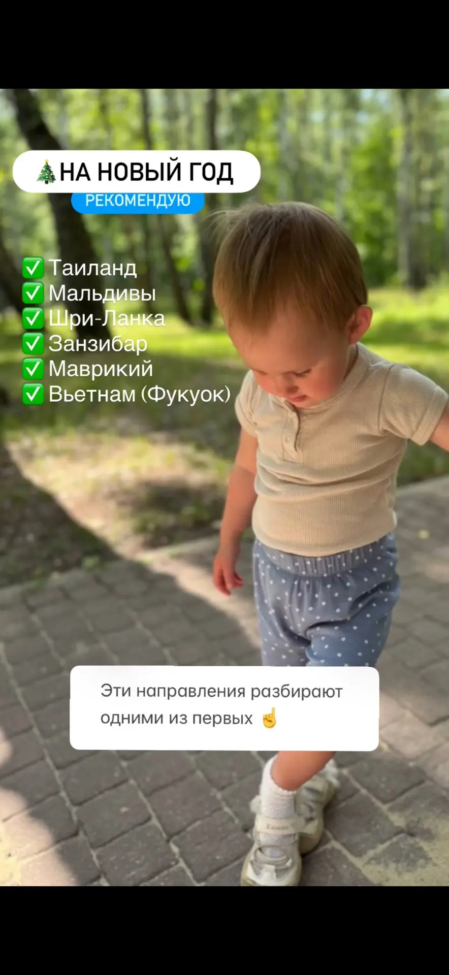 Мы умные - мы готовим сани летом 😉
