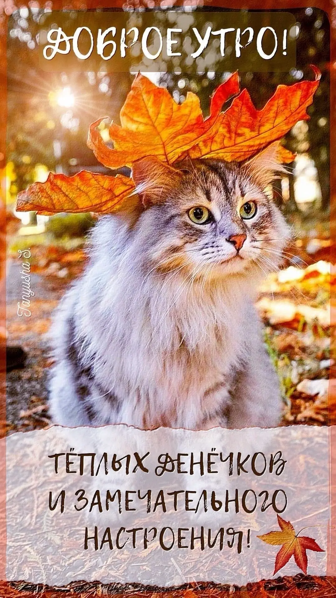 #утро