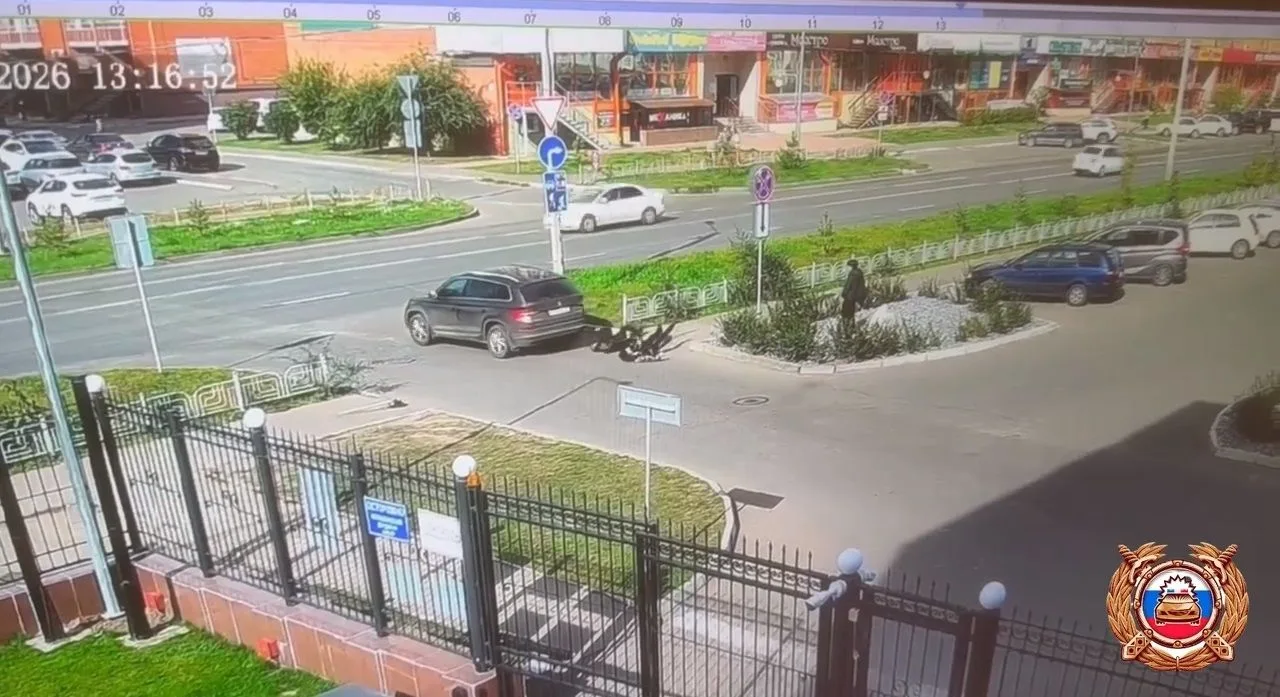 В Абакане школьники на электросамокате врезались в иномарку