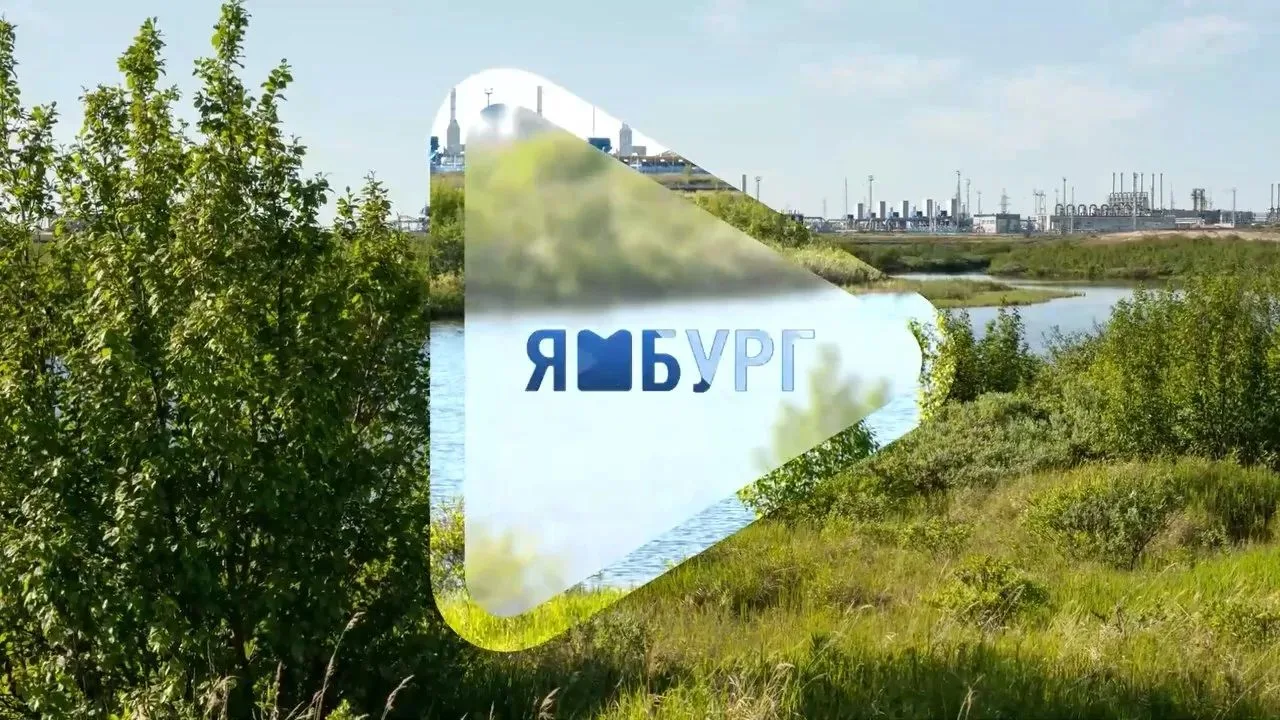 #ямбург_тв