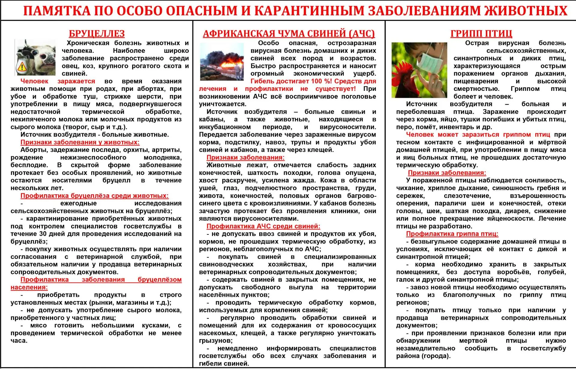 Памятка для населения!