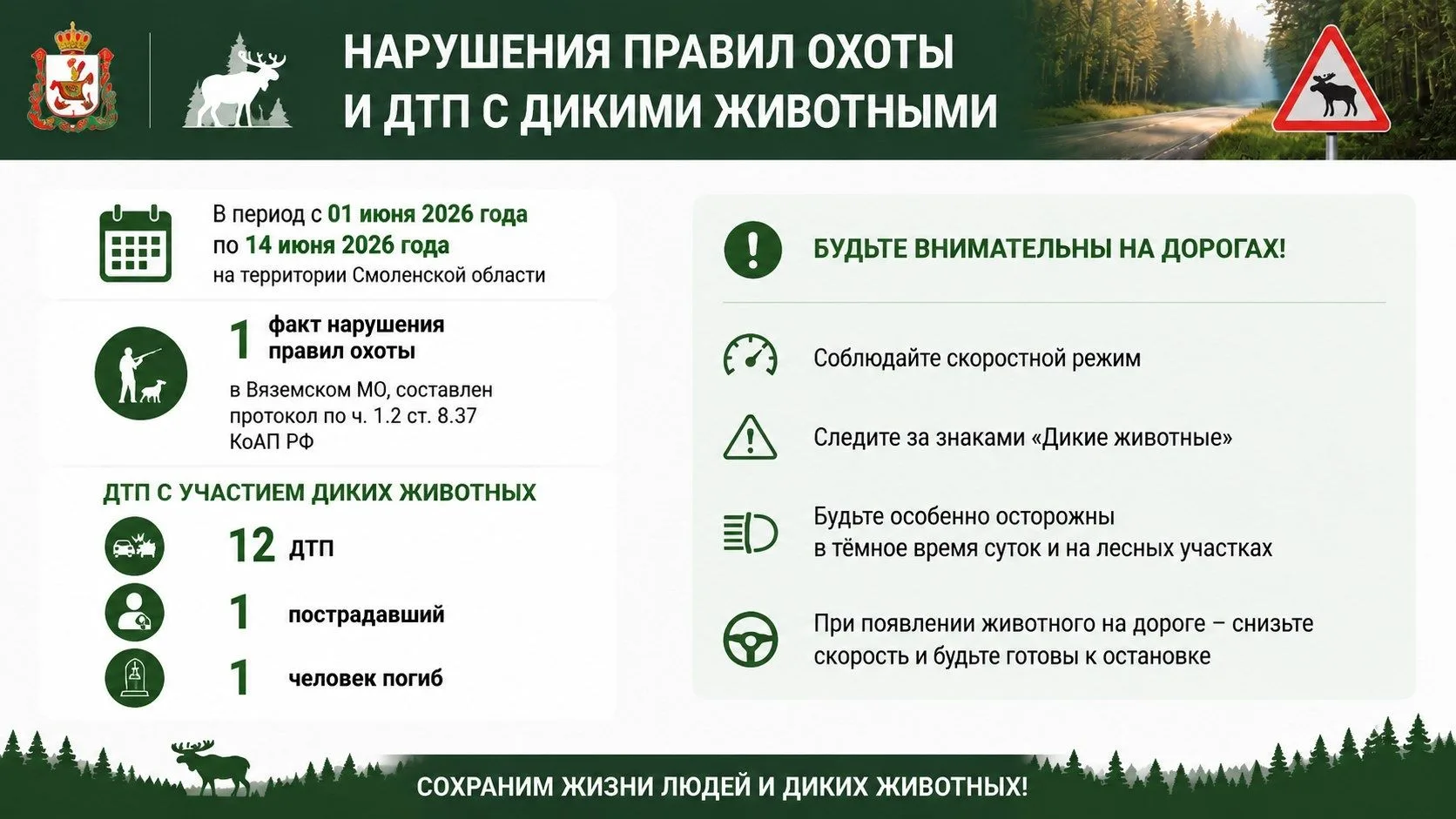 ⚡️ВнВнимание: дикие животные на дорогах Смоленской области

За период с 01 по 14 июня 2026 года на т