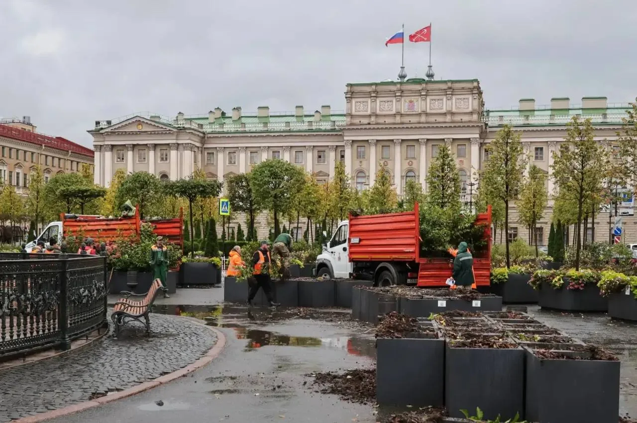 🌳 Сад-трансформер на Синем мосту уходит на зимние каникулы