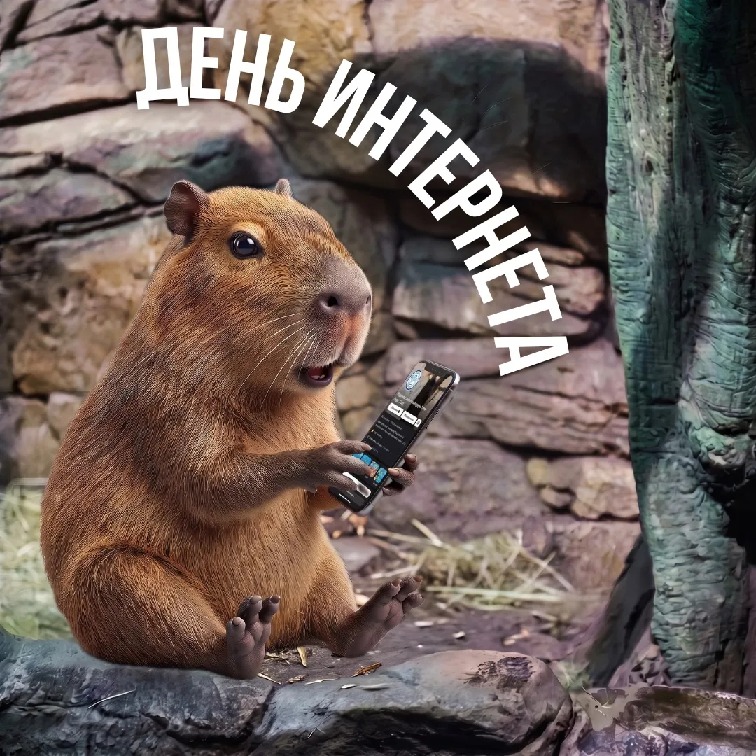 На связи с океаном 📡 🌊