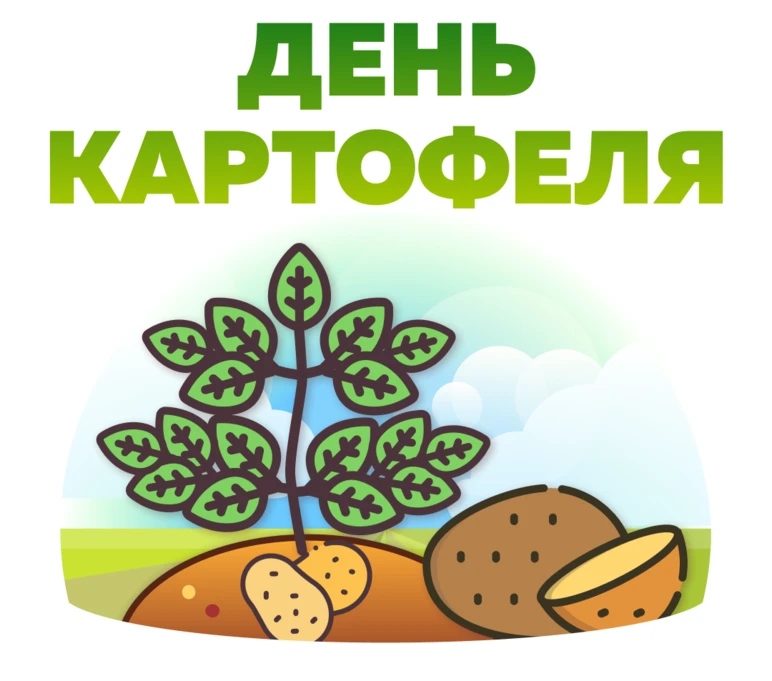 🎉 26 августа — День картошки в России! 🥔