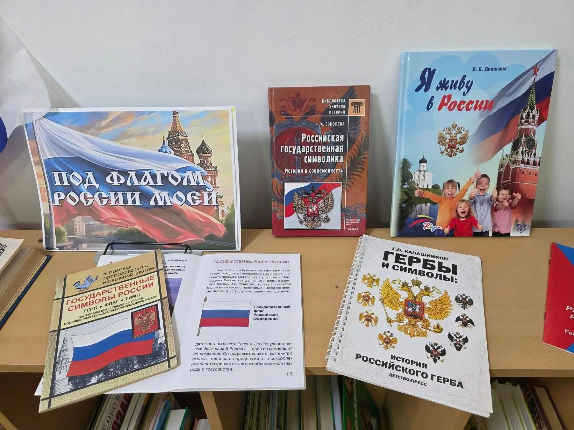 ПОД ФЛАГОМ РОССИИ МОЕЙ