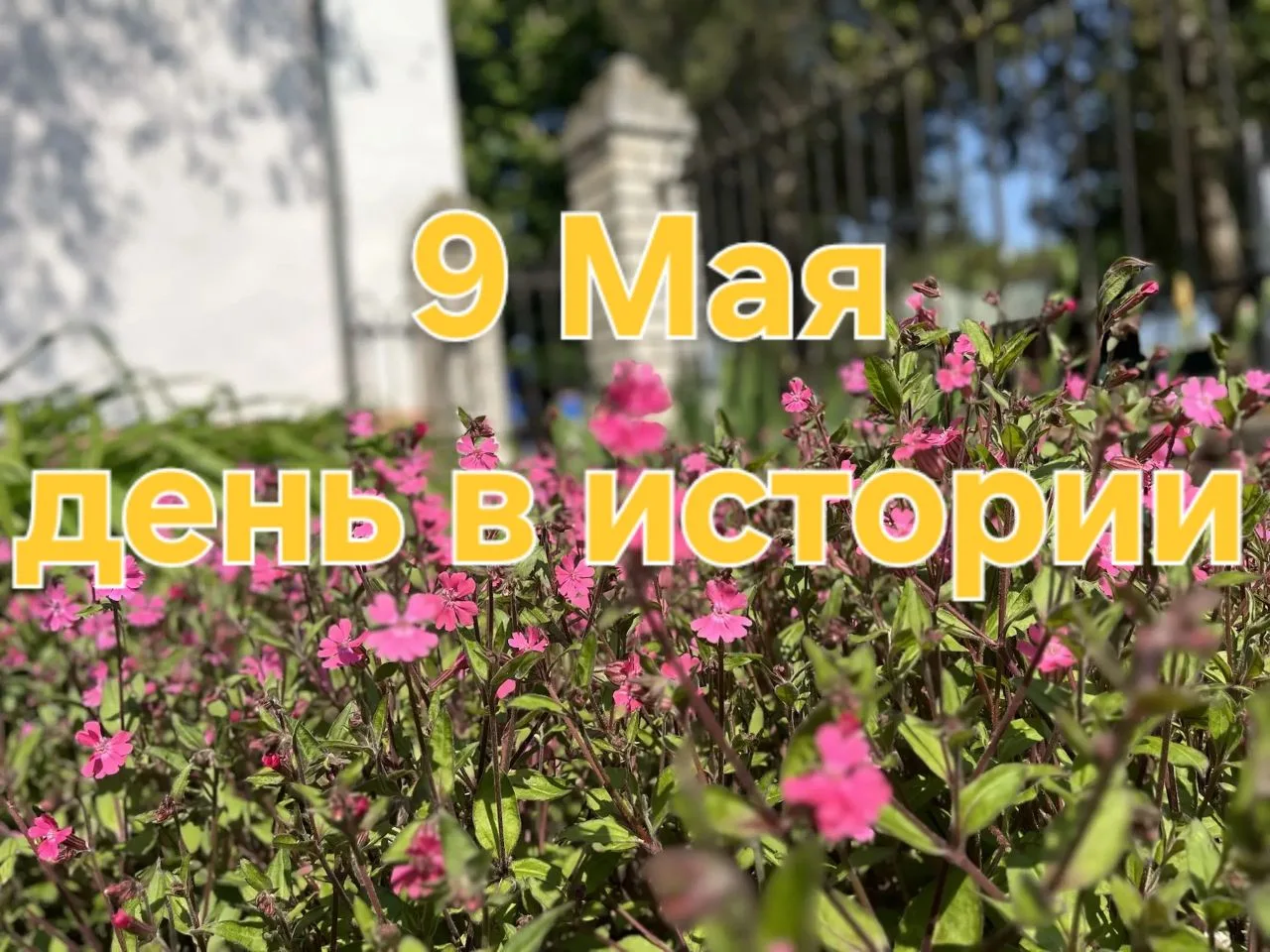 А знаете ли вы, что ❓
