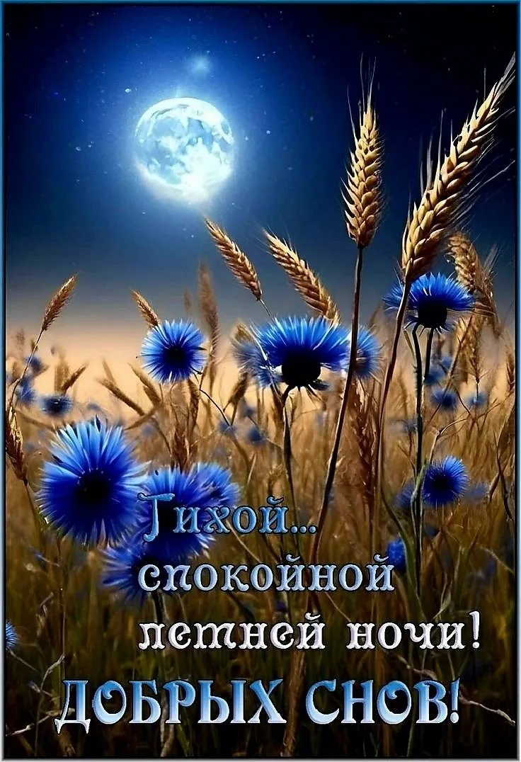 Открытки и приколы 🌸