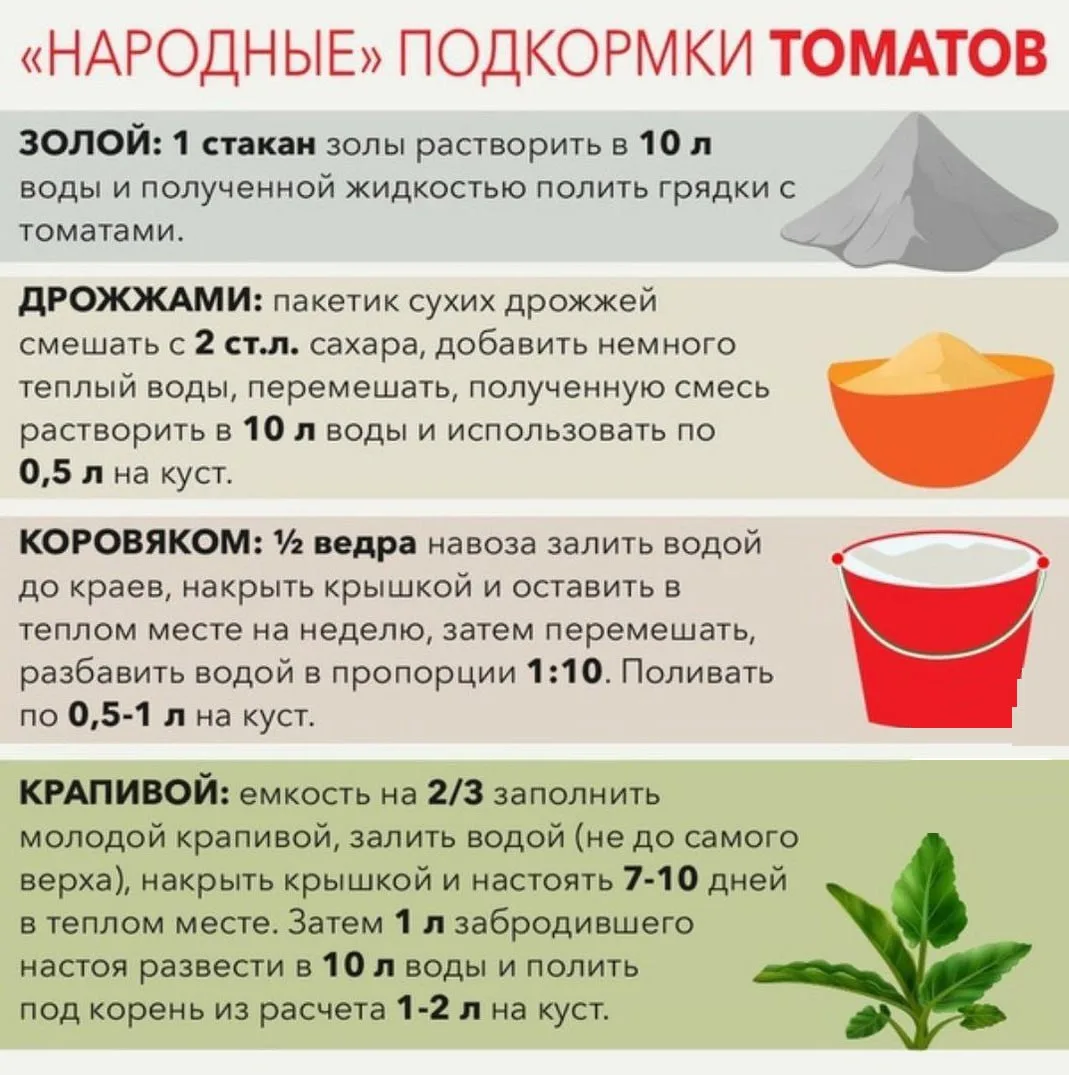 Народные подкормки томатов 👍