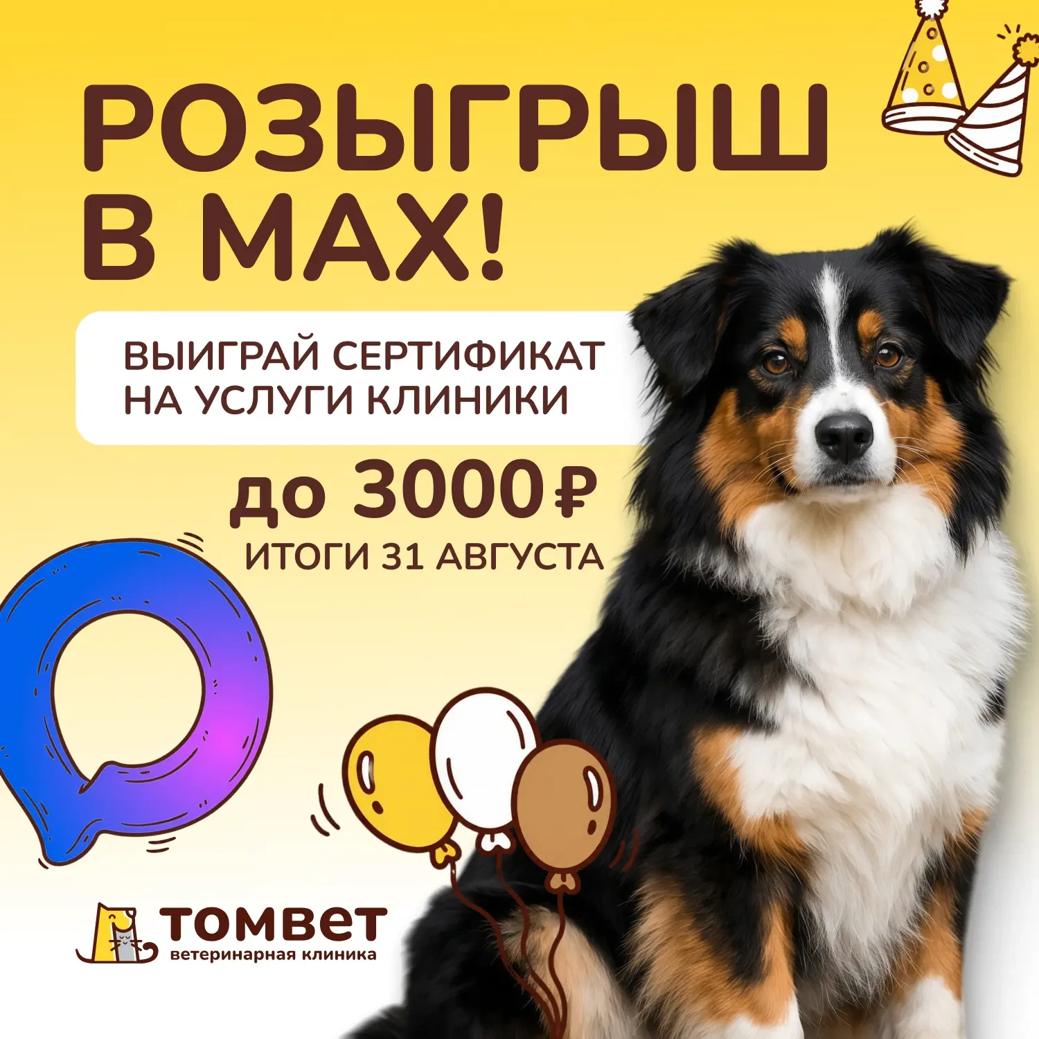 🎁 🎁 «ТомВет» раздаёт подарки!