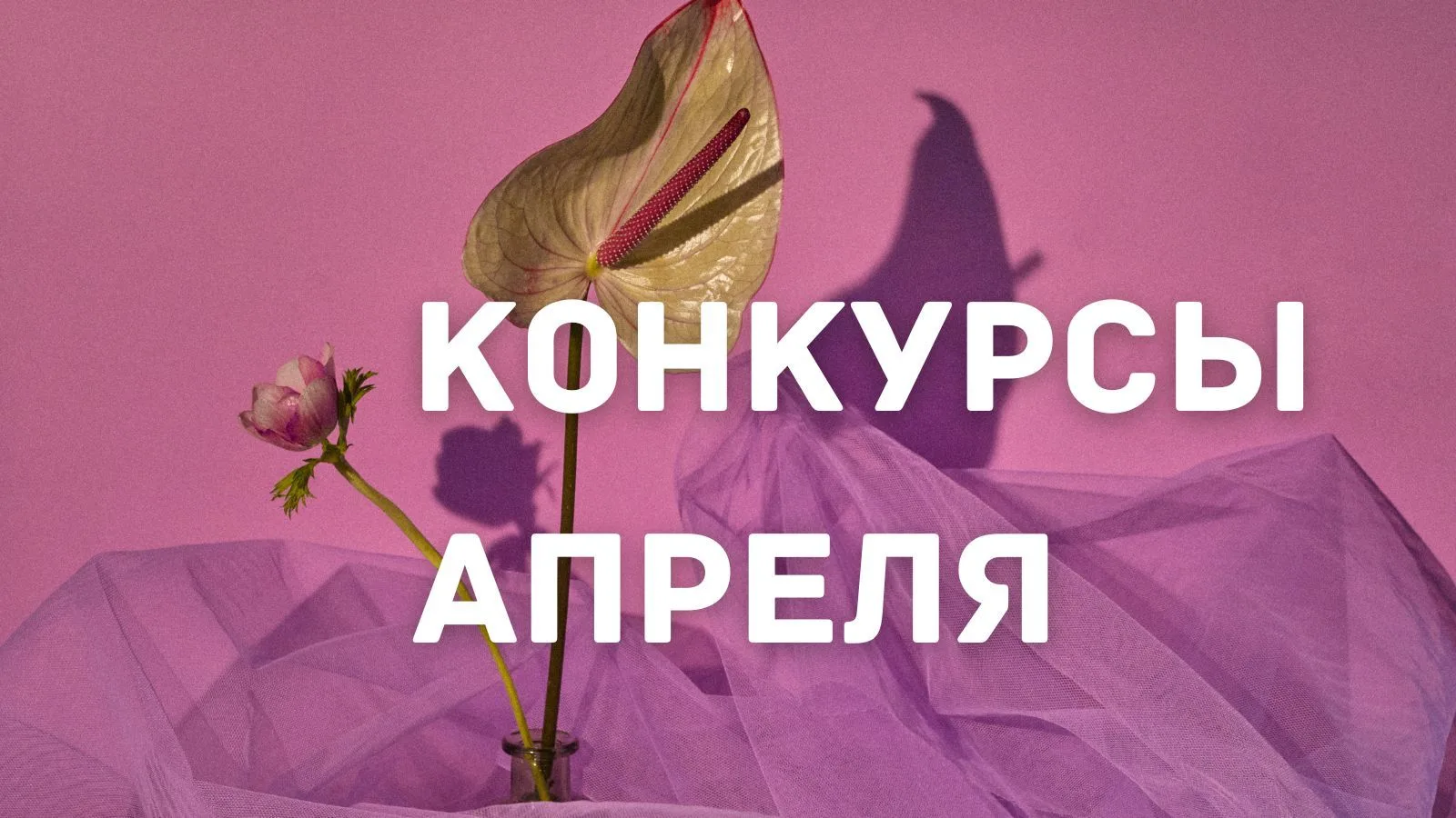 Конкурсы Апреля 2026  Друзья, подготовлен список конкурсов, которые проходят в апреле 2026 года В по