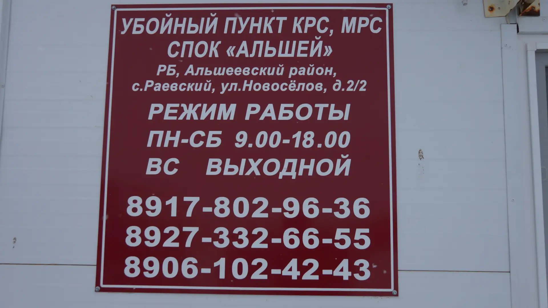 СПОК "Альшей" имеет свой убойный цех, который оказывает услуги по забою скота, Крупного рогатого, ме