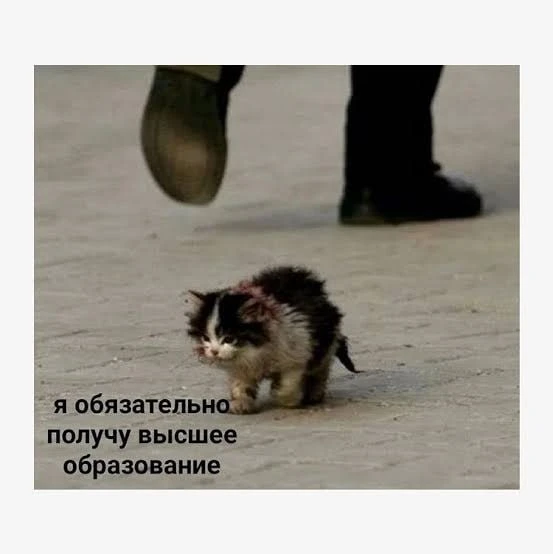 всем привет!