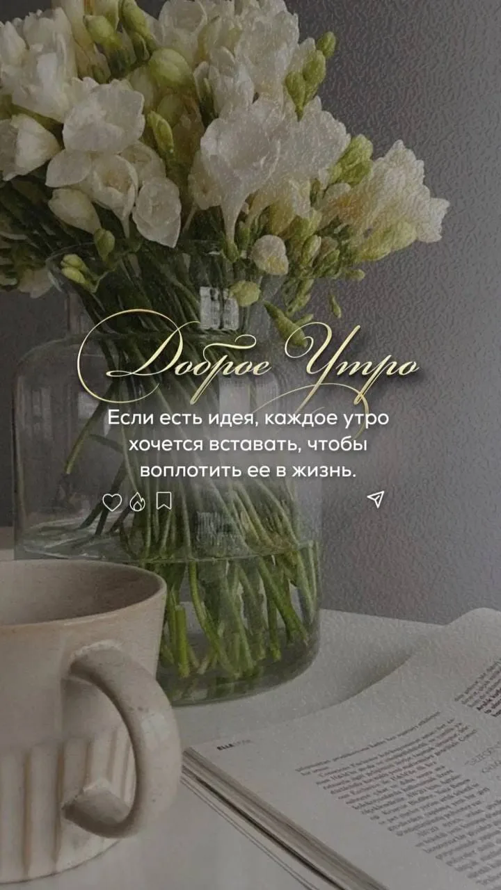 С добрым утром, с добрым началом дня, дорогие  Друзья ☀️🌿🍵