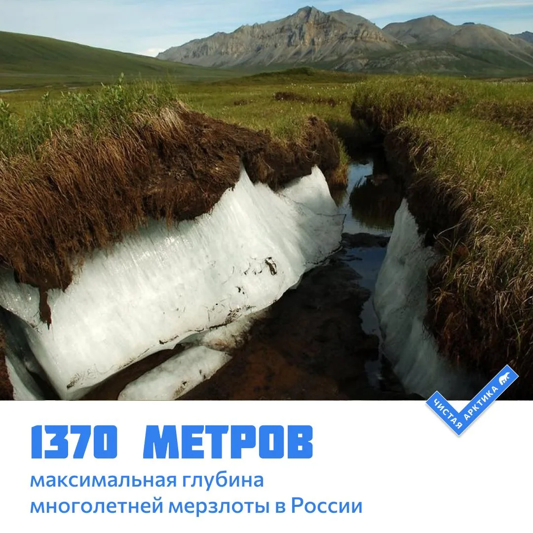 Столько составляет максимальная глубина многолетней мерзлоты в России. Этот рекорд зафи...