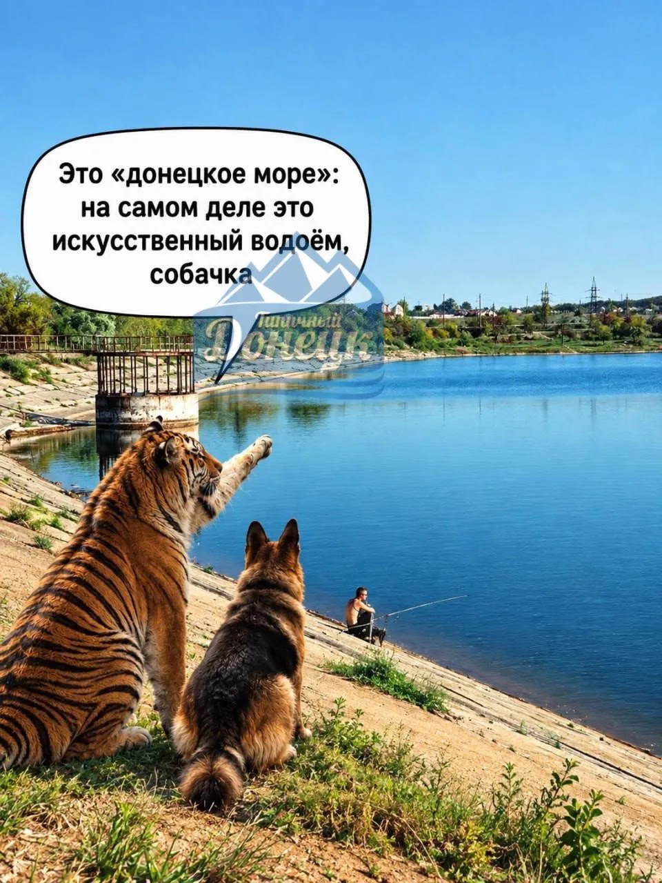 🐕 Вот такой Донецк, собачка