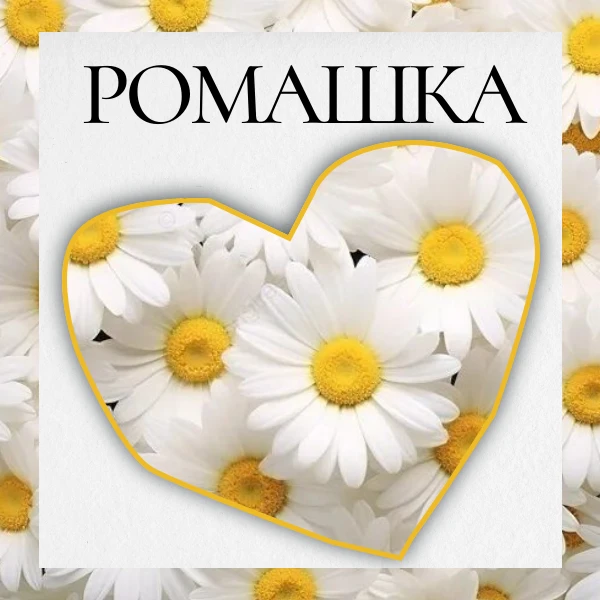 Ловите цветочный челлендж! 🌼

Угадаете, сколько слов можно составить из букв слова РОМАШКА? 🐞

Пра