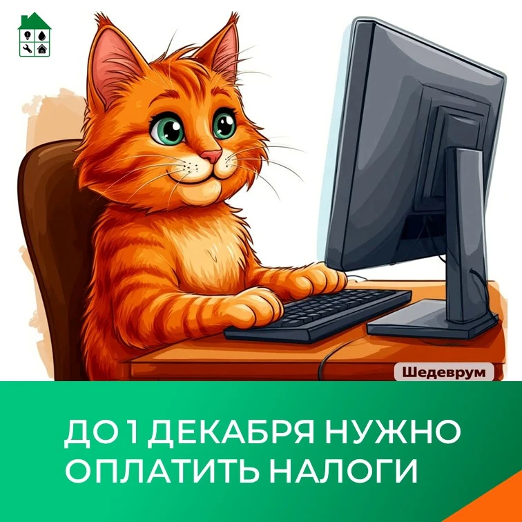 До 1 декабря нужно оплатить налоги