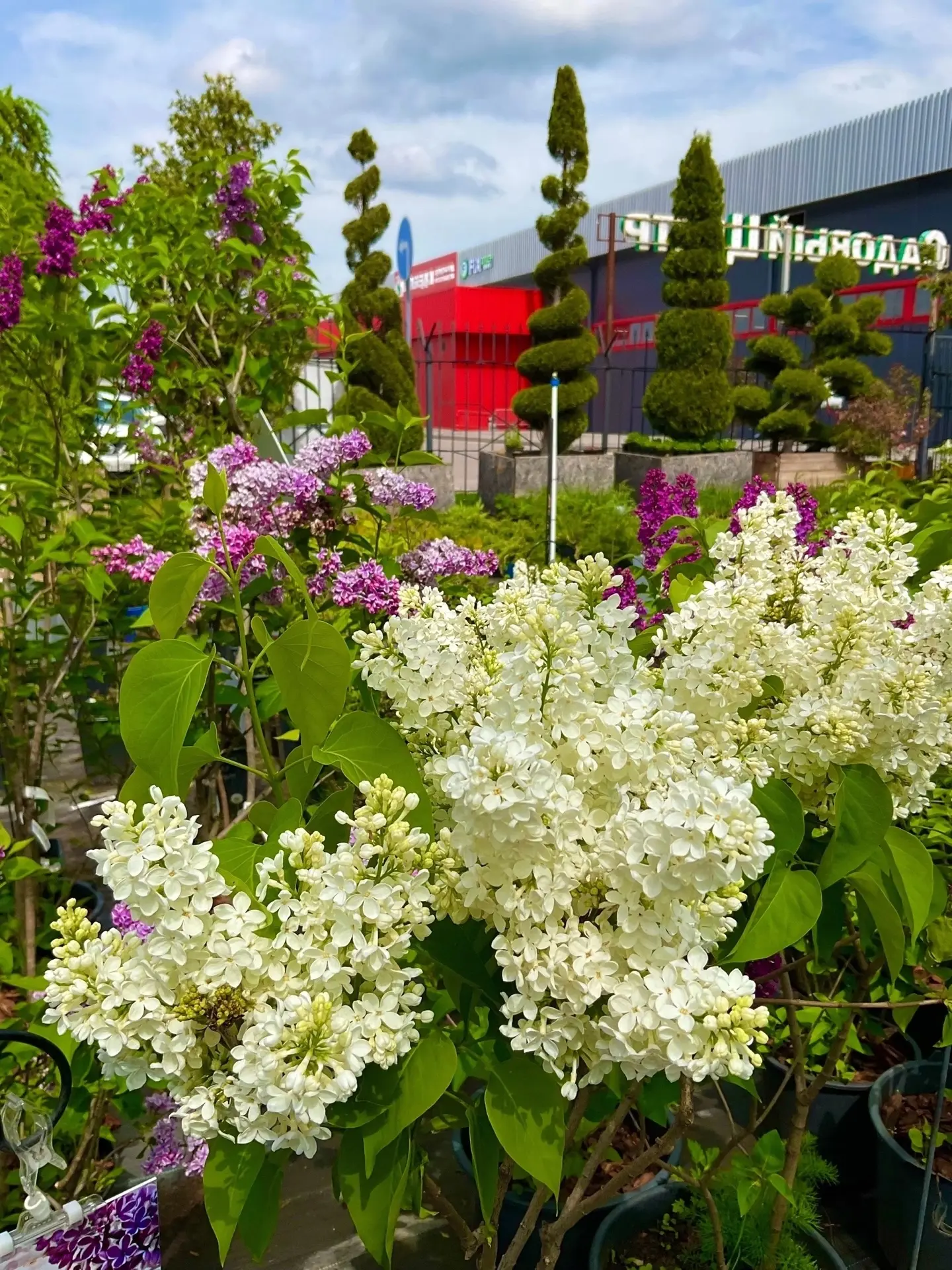 Всё для праздничных выходных!🎉 Шампуры и мясо. Горячие лепешки и овощи для гриля. Заку...