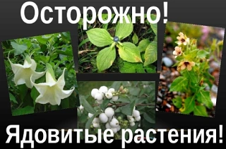 ❗Памятка для родителей.