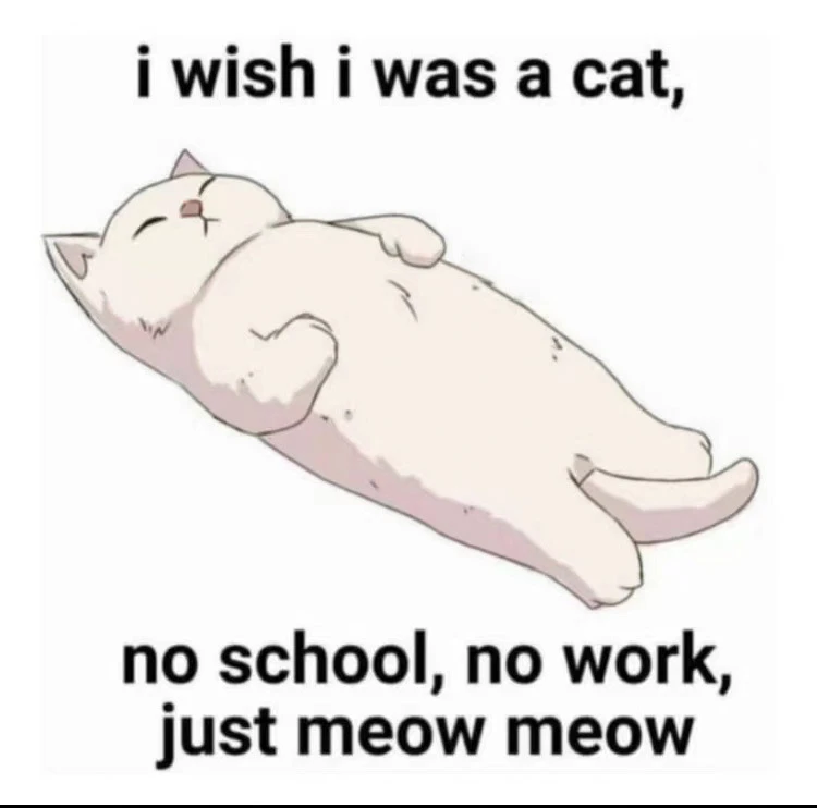 An old cat sleeps by the hearth, yet dreams of the hunt. Do not mistake stillness for s...