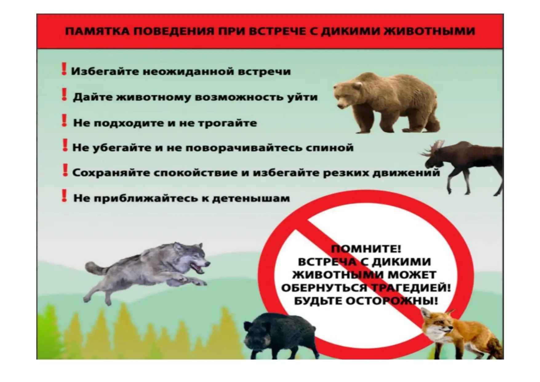 Медведь – опасное и непредсказуемое животное, и встреча с ним может обернуться серьёзно...