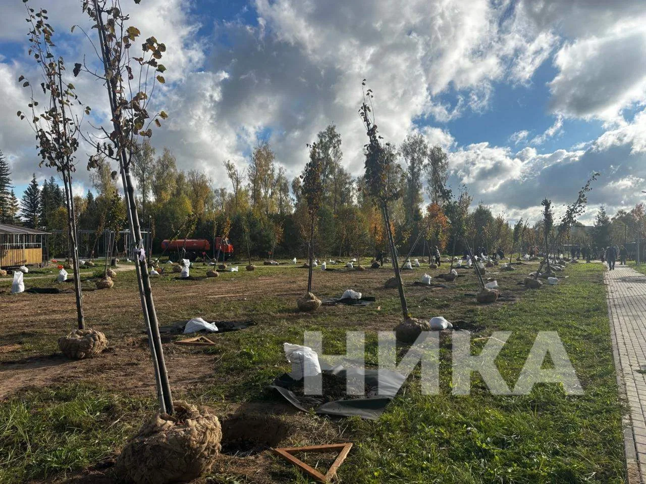 🌳 Анатолий Артамонов вместе со студентами высадили 150 деревьев в Тарусе