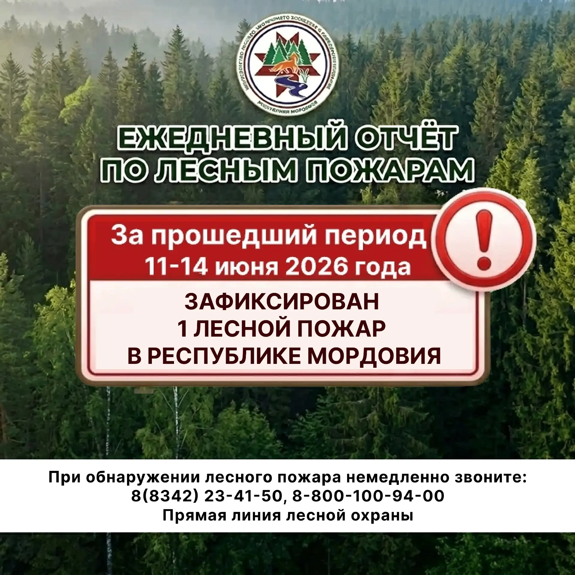 🔴 За прошедший праздничный период в Мордовии был потушен 1 пожар на территории ФГБУ «Заповедная Мор
