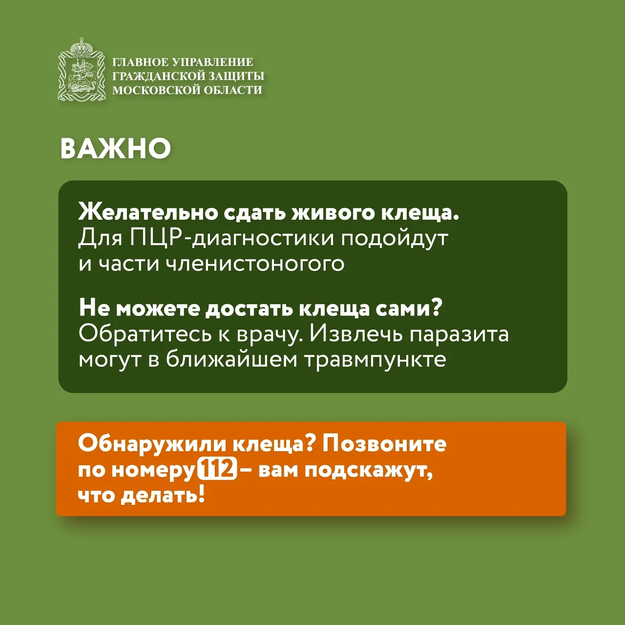 🌱 Май и июнь — пик активности клещей!  🦠 Клещи могут переносить опасные заболевания, такие как энцеф