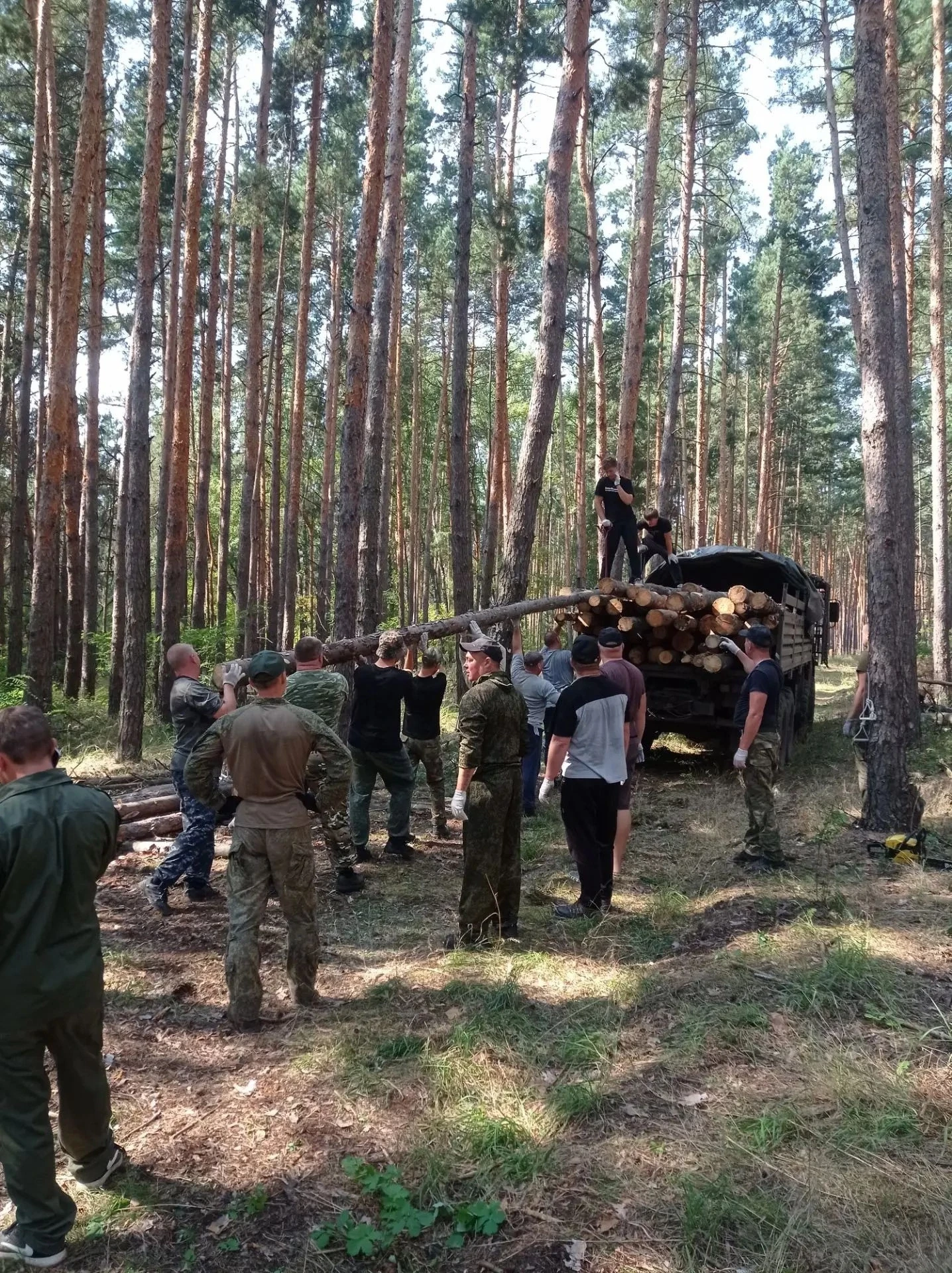 Сегодня наши мужчины опять отправились в лес, заготавливать брёвна  на СВО.