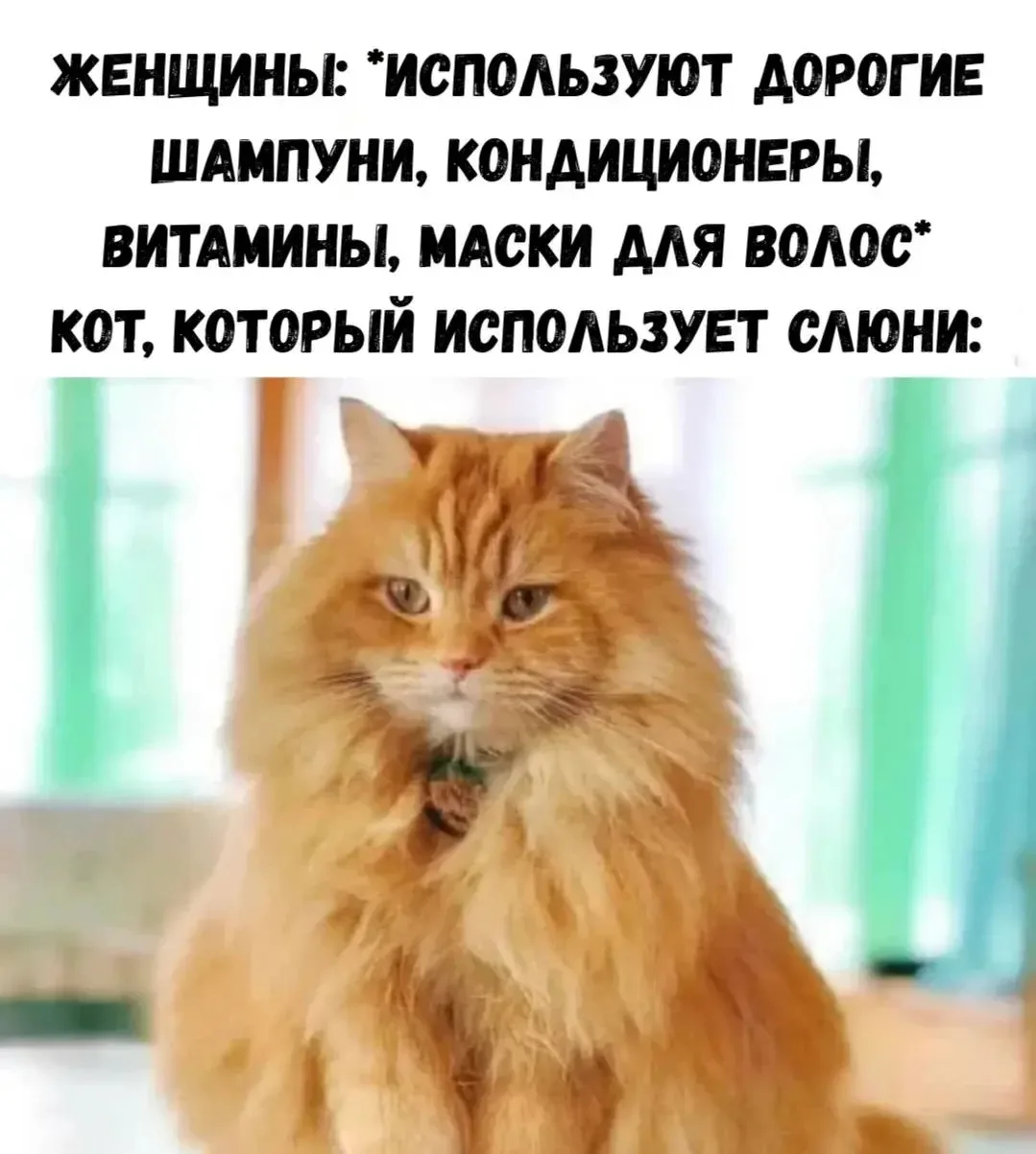 Хиханьки Да Хаханьки • подписаться